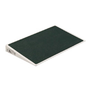 Rampe d'accès standard